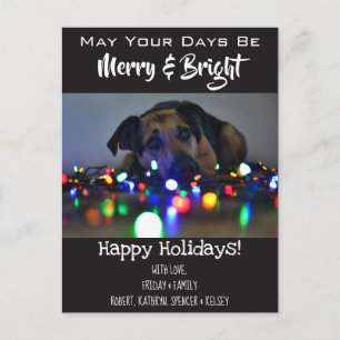 "Merry & Bright" Add Pet Photo Helgdag Vykort