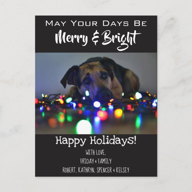 "Merry & Bright" Add Pet Photo Helgdag Vykort (Framsida)
