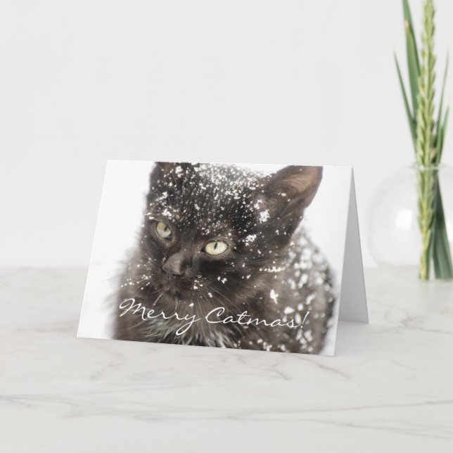 Merry Catmas-julhälsningskort Helgkort (Framsida)