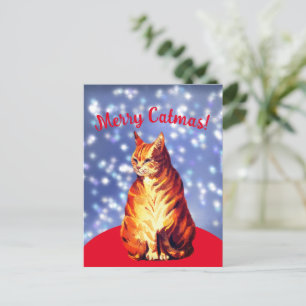 Merry Catmas, marmalade ginger cat Postcard Vykort