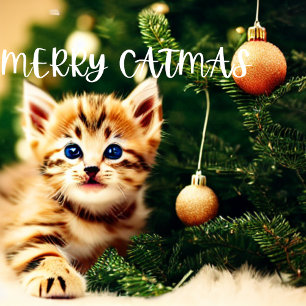 Merry Catmas Purrfect julkort