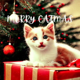 Merry Catmas Purrfect julkort