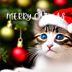 Merry Catmas Purrfect julkort