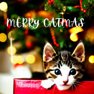 Merry Catmas Purrfect julkort