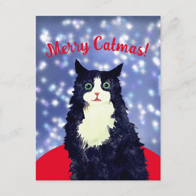 Merry Catmas Vykort (Framsida)