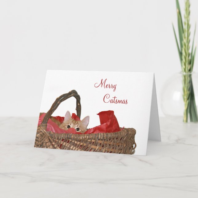 Merry Catsmas Helgkort (Framsida)