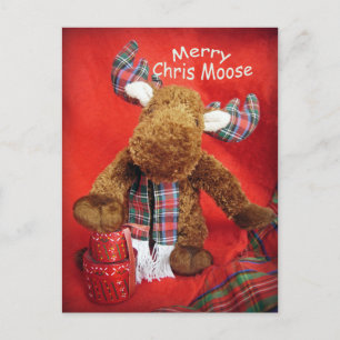 Merry Chris Moose Helg Vykort