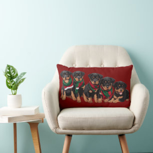 Merry Chrismutts Rottweiler Puppies Wearing Scarf Lumbarkudde