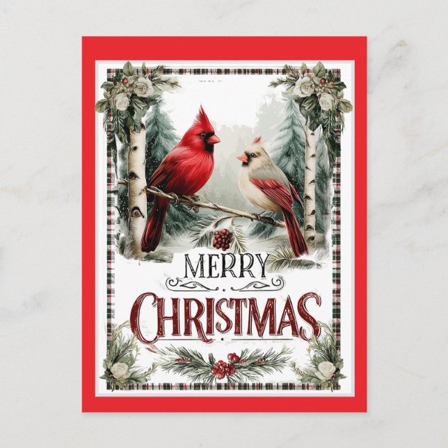 Merry Christmas Cardinal Illustration Vykort (Framsida)