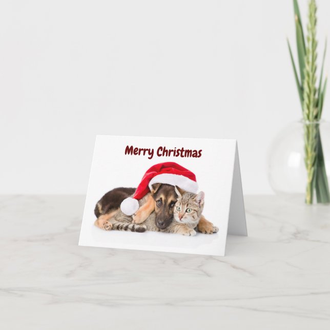 Merry Christmas Cat and Dog holiday card Helgkort (Framsida)