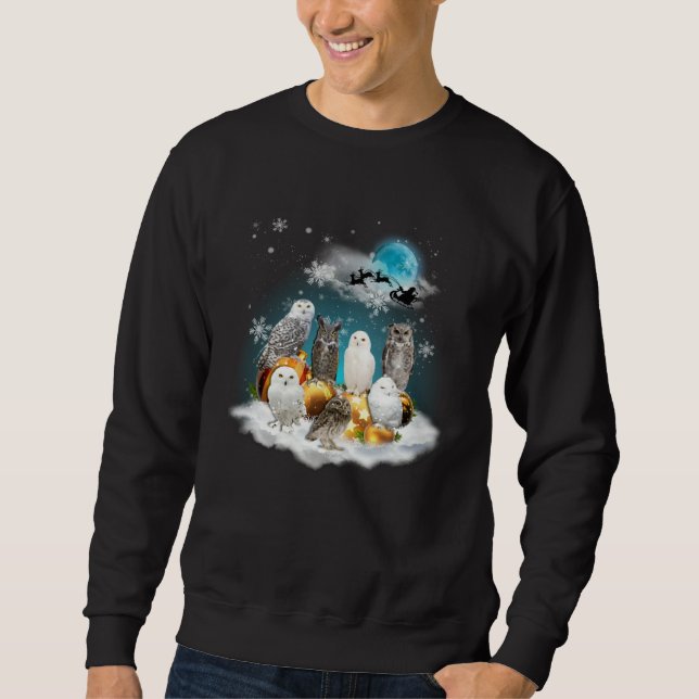 Merry Christmas Cute Owl Costume For Owl Lång Ärmad Tröja (Framsida)