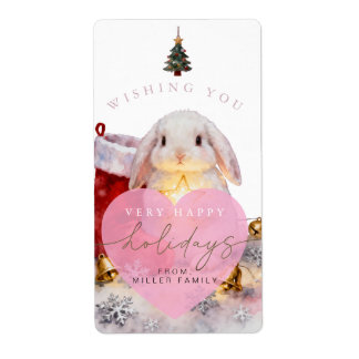 MERRY CHRISTMAS FRAKTSEDEL