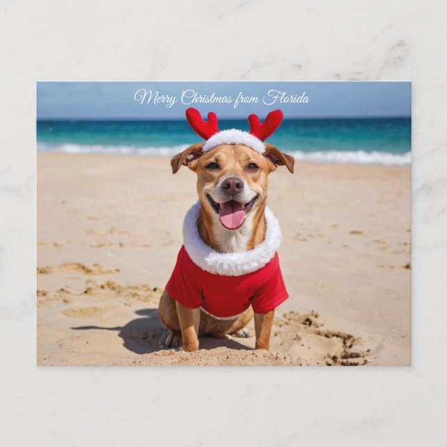 Merry Christmas from Florida Beach Helg Vykort (Framsida)