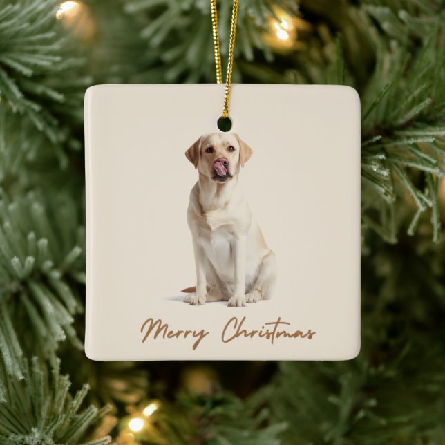 Merry Christmas Ornament Custom Dog Photo (Träd)