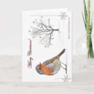 Merry Christmas Robin Helgkort