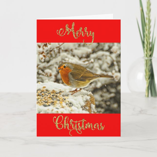 Merry Christmas Robin in Snow Photo Helgkort (Framsida)