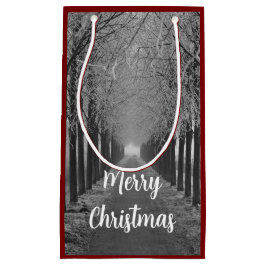 Merry Christmas winter,