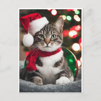 Merry Christmas with a cute kitten Helg Vykort