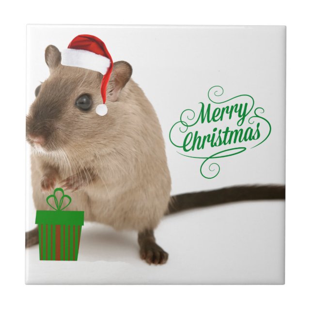 Merry Christmus Kakelplatta (Framsidan)