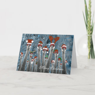 Merry Cranes bland oss Helgkort