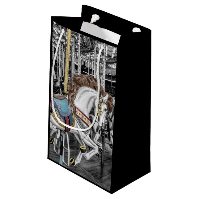 Merry Go Round Carousel Photography (Baksidan Vinklad)