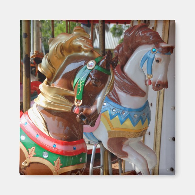 Merry-Go Round Horses Magnet (Framsidan)