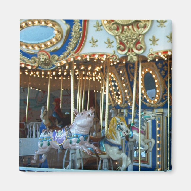 Merry Go Round Magnet (Framsidan)