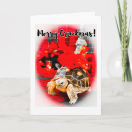 Merry Grinchmas baby sulcata-sköldpadda med rött b Kort