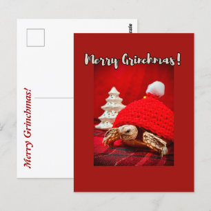 Merry Grinchmas baby sulcata tortoise in a red hat Vykort
