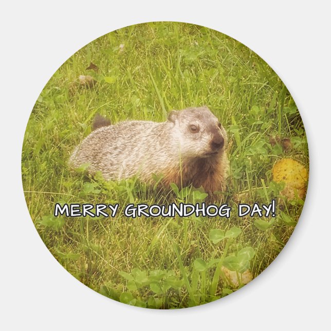 Merry Groundhog Day magnet (Framsidan)