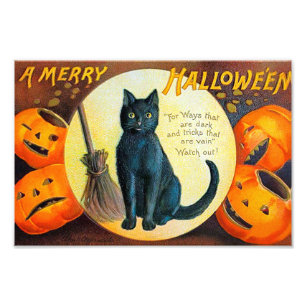Merry Halloween Cat Fototryck