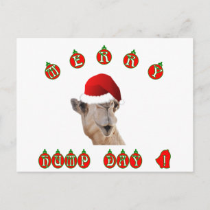 Merry Hump Day Hump Day Camel Helg Vykort