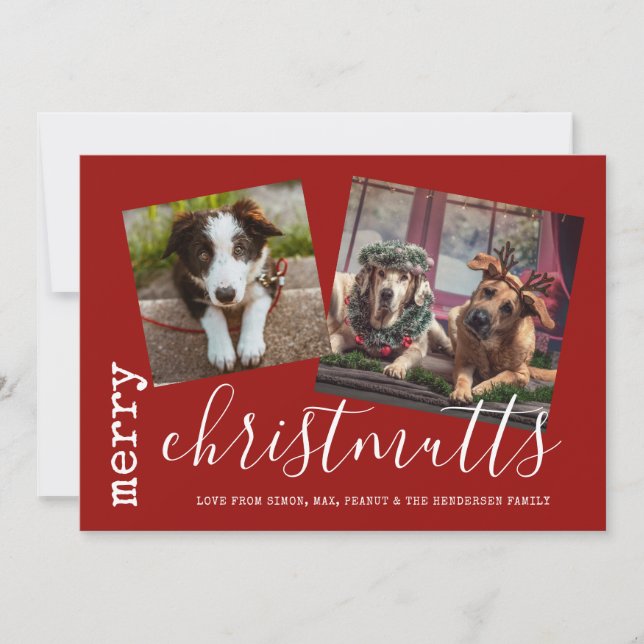 Merry JesusMUTTS Hund Photo Pets Julkort (Framsida)
