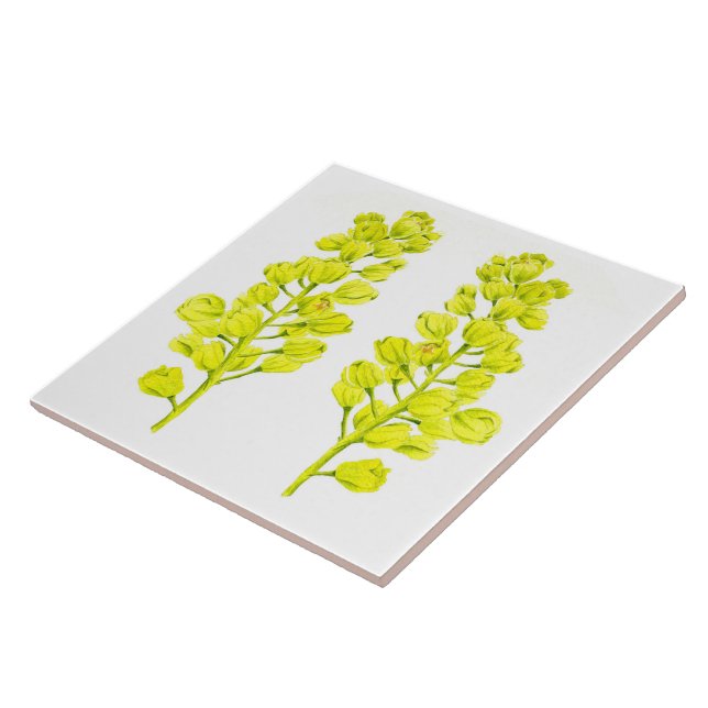 "Merry Maples" på en keramik Tile (II) Kakelplatta (Sidan)