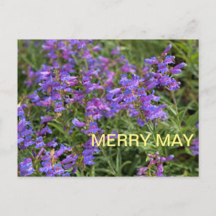 Merry May Vykort
