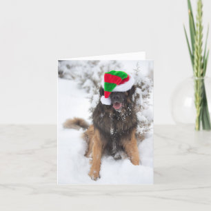 Merry Merry Leonberger julkort Helgkort