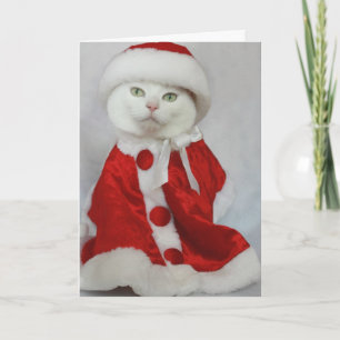 Merry Missy Helgkort