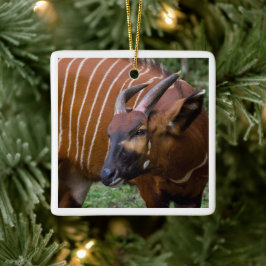 Merry Mountain Bongo Antelope! Julgransprydnad Keramik