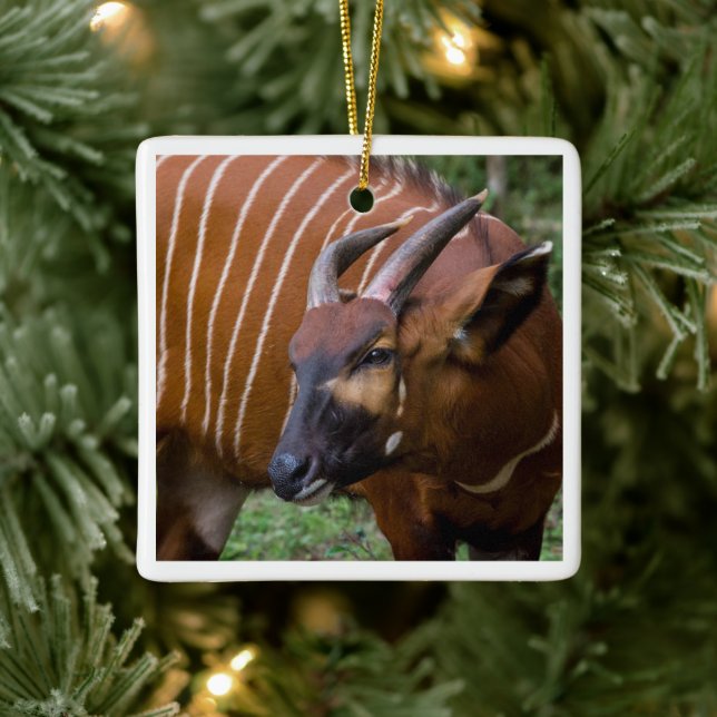 Merry Mountain Bongo Antelope! Julgransprydnad Keramik (Träd)