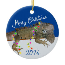 Merry on Bright Pet Iguana jul