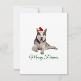 Merry Petmas husky helgdag julkort