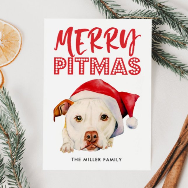 Merry Pitmas | Funny Santa Pit Bull Dog Julkort (Skapare uppladdad)