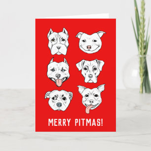 Merry Pitmas Pit Bull Dog Ansikte jul jul Helgkort
