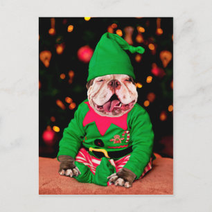 Merry Pitmas, Pit Bull Stil Vykort