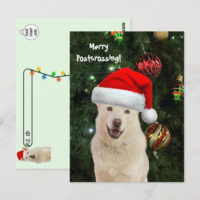 Merry Postcross från Crystal, Husky Hund Vykort (Fram/baksida)