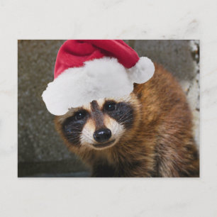 Merry Raccoon jul Helg Vykort