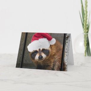 Merry Raccoon jul Helgkort