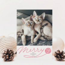 Merry Red Yarn Boll Cat Photo