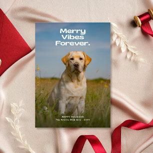 Merry Vibes Forever Hund Photo jul Julkort