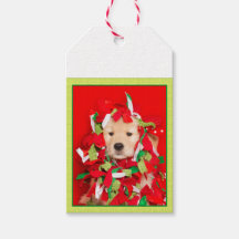 Merry Woofin'Jul Golden Retriever Puppy